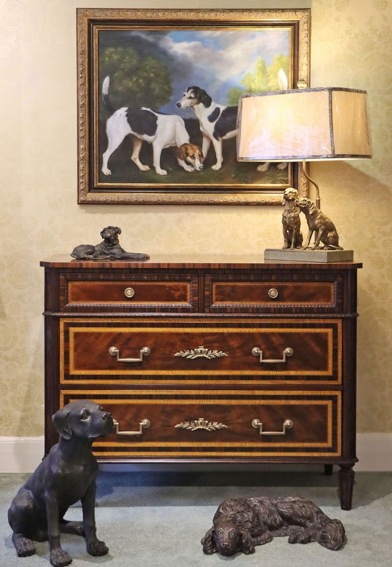 Man's Best Friend Takes Pride of Place in the Home