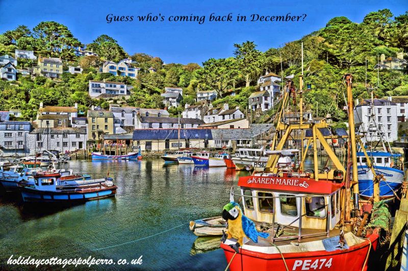 Polperro Polly is coming back in December with our BIGGEST competition ever!