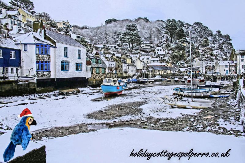 The Winner of the £1200 Polperro "Where's Polly? Holiday voucher is...