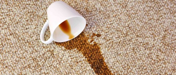 Prochem Stain Removal Guide