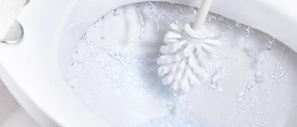 How To Clean A Toilet