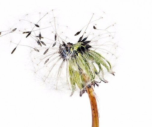 Divorce and Separation