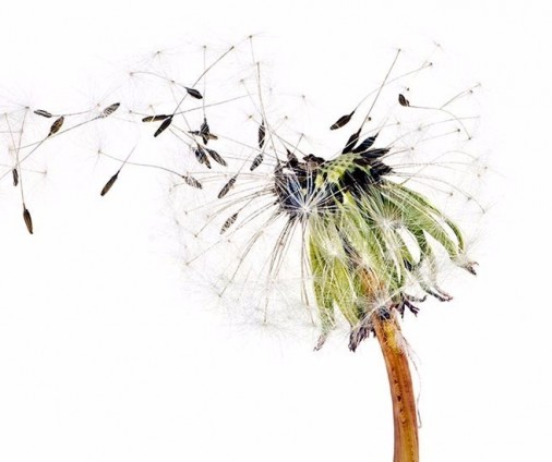 Pre-nuptial, Post-nuptial and Separation Agreements