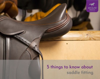 5 Things to know about Saddle Fitting