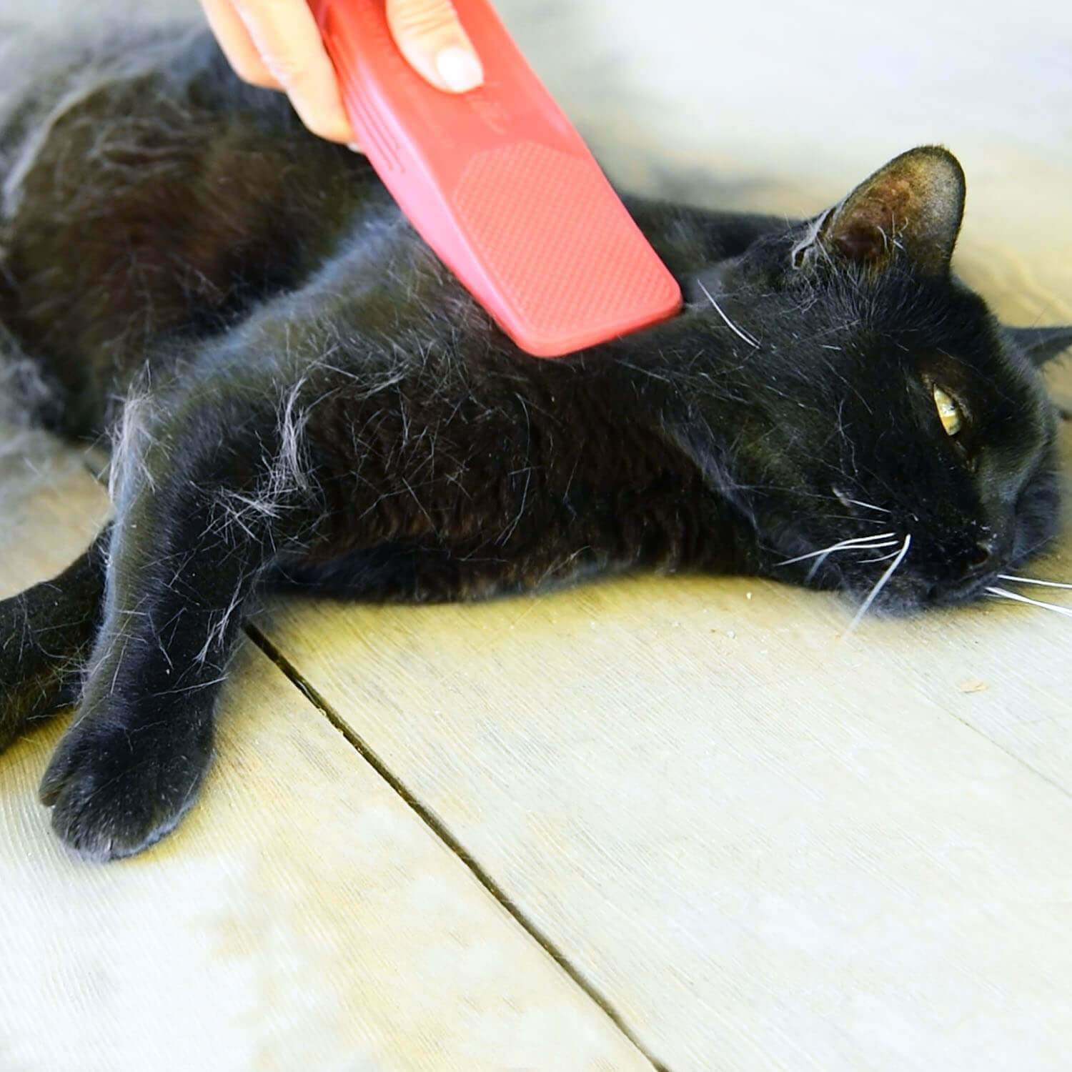 StripHair Gentle Groomer for Cats