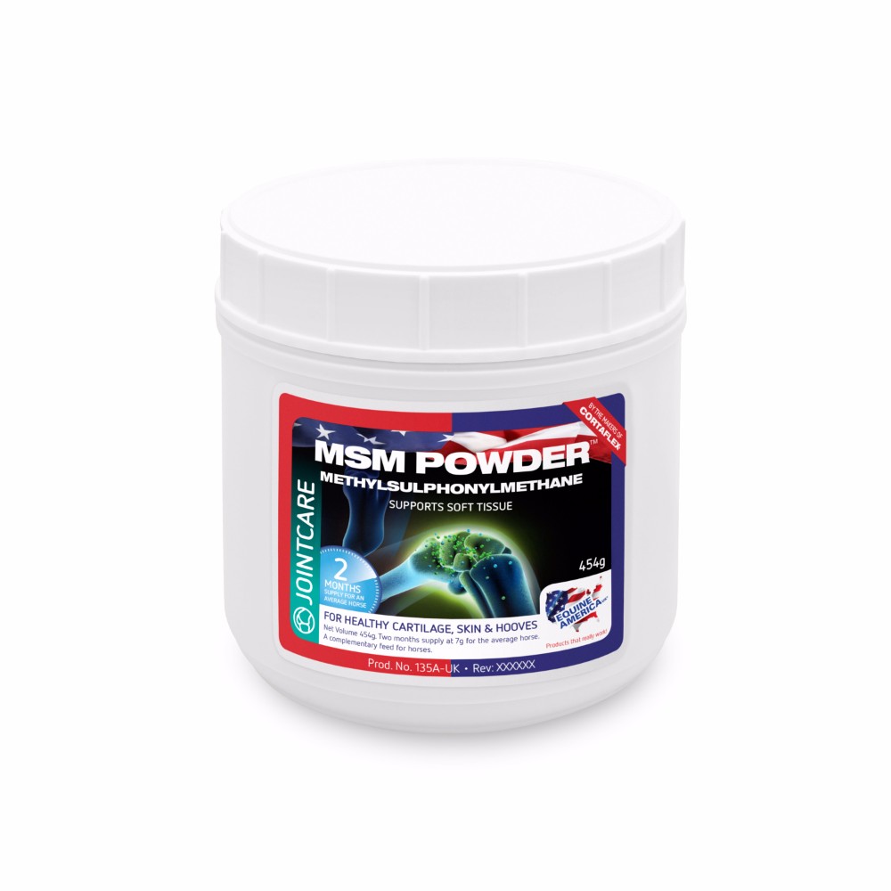 MSM Powder 454gm