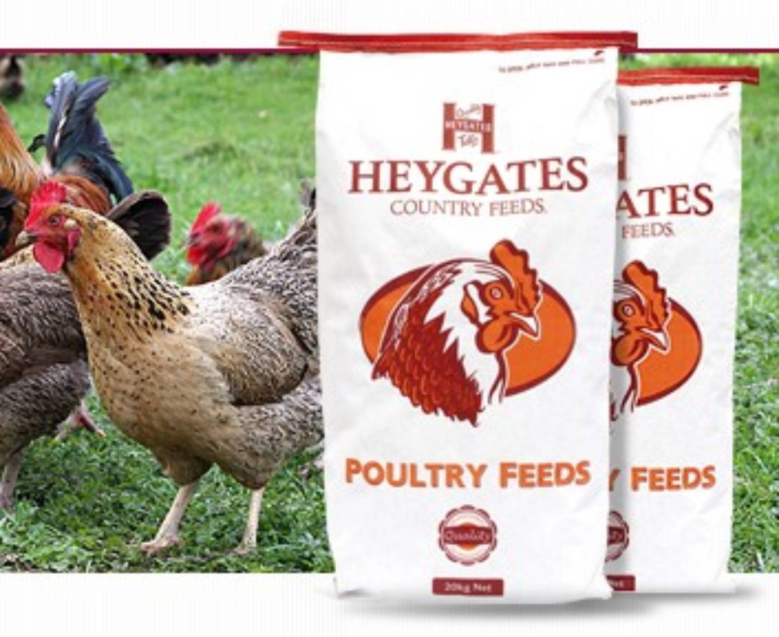 Heygates Country Layers Meal (Mash), Pets & Smallholder from The ...